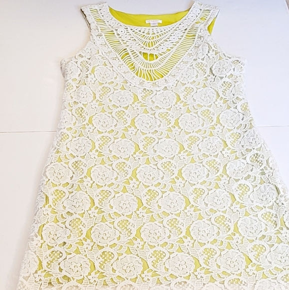 Lace dress - Picture 9 of 11